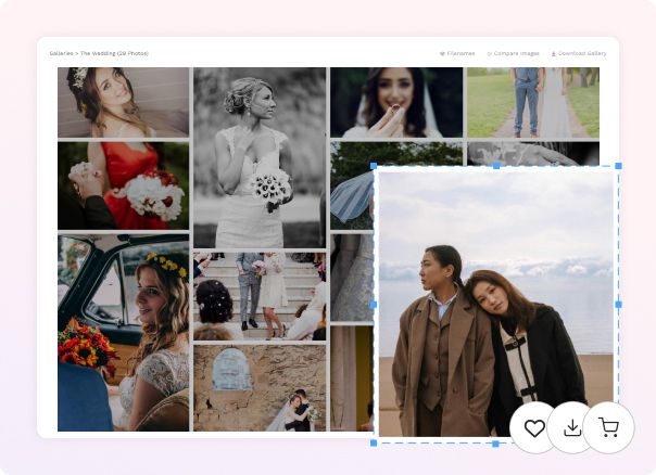 Portfolio-Website-Themen
