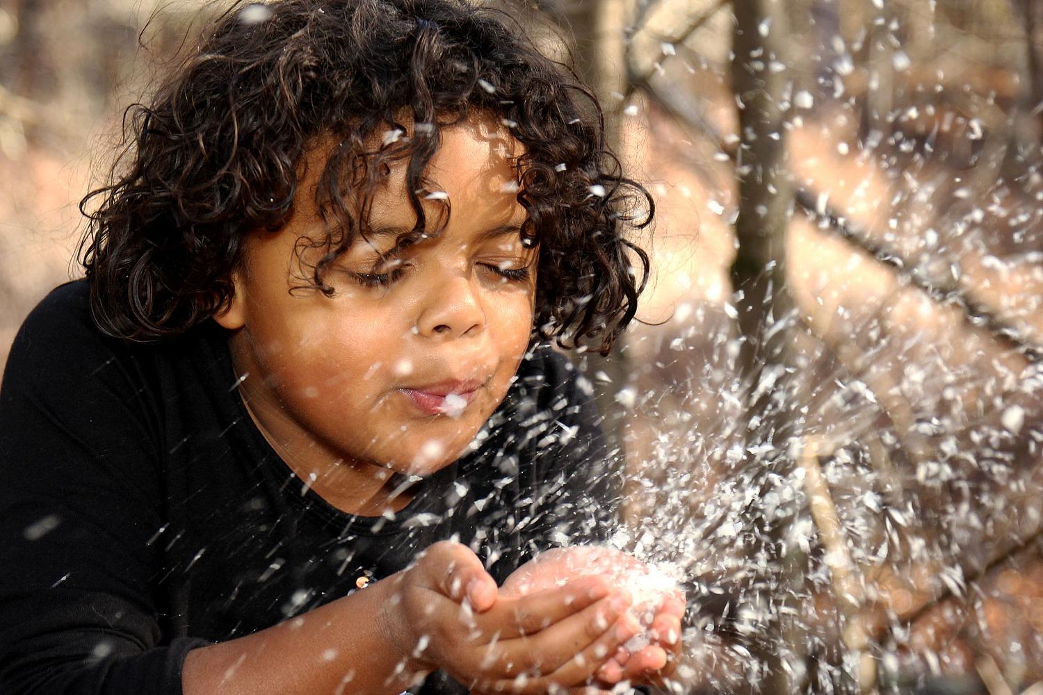 Forest Vibe Photography, Family and Pet Photography