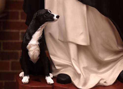 Small dog statue after repainting