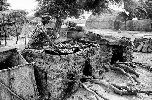 Delta del Niger | Mali | 1997