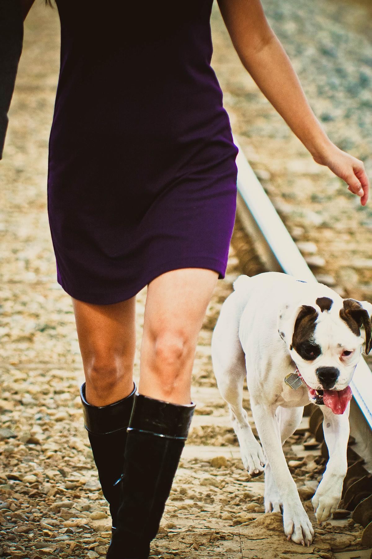 a woman's legs with black knee high boots and a white boxer in calgary.
