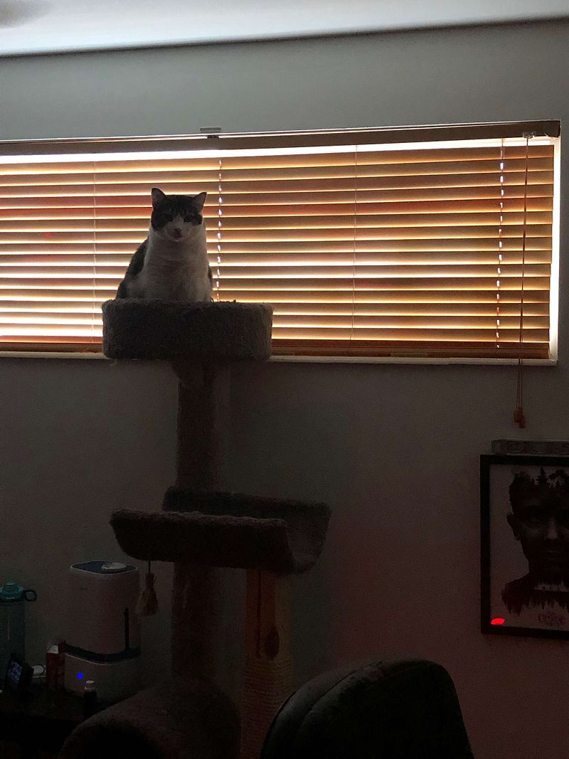 THE GREATEST ACTION SHOT IN MY HEAD!