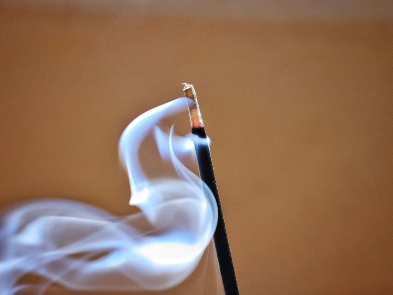 Moxibustion Therapy in Brussels: Warmth, Healing, and Vitality