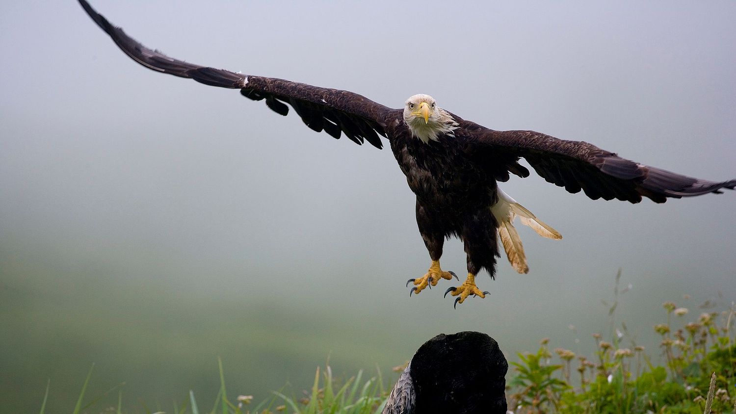 MIke Wiley Photography