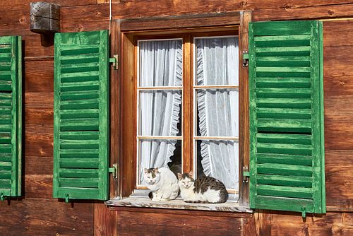Kapelle Wilder Geschinen