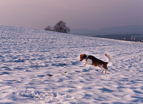 Kapelle Wilder Geschinen