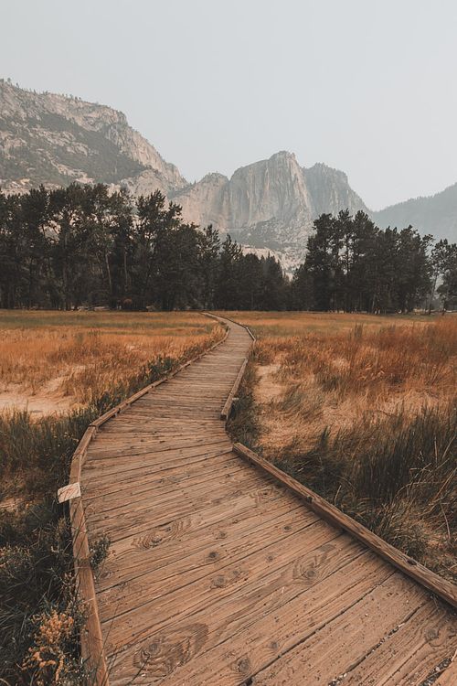 Canon Landscape Photography Savannah Travel Prints Yosemite Details