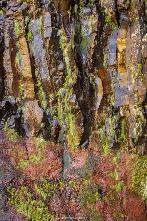 Detail at Risco waterfall