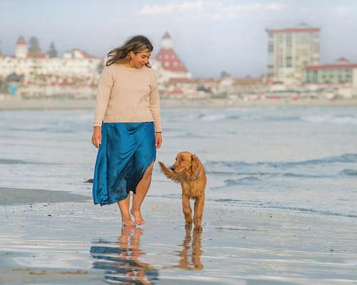 Coronado Dog Beach