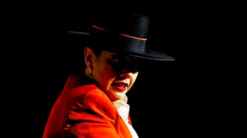 Danseuse de Flamenco en Andalousie