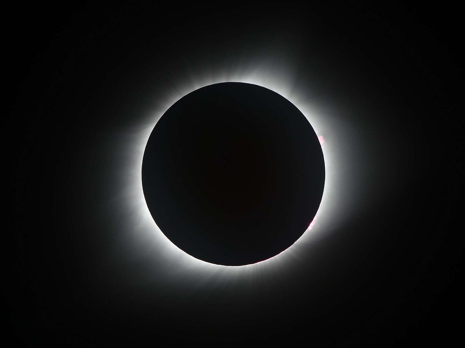 Best great gray (grey) owl, bird & mammal photography workshop & tour