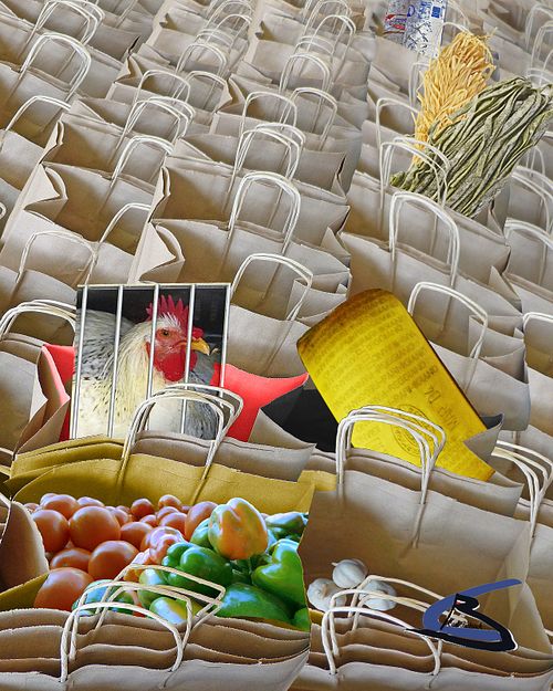 shopping bags, no hand carts