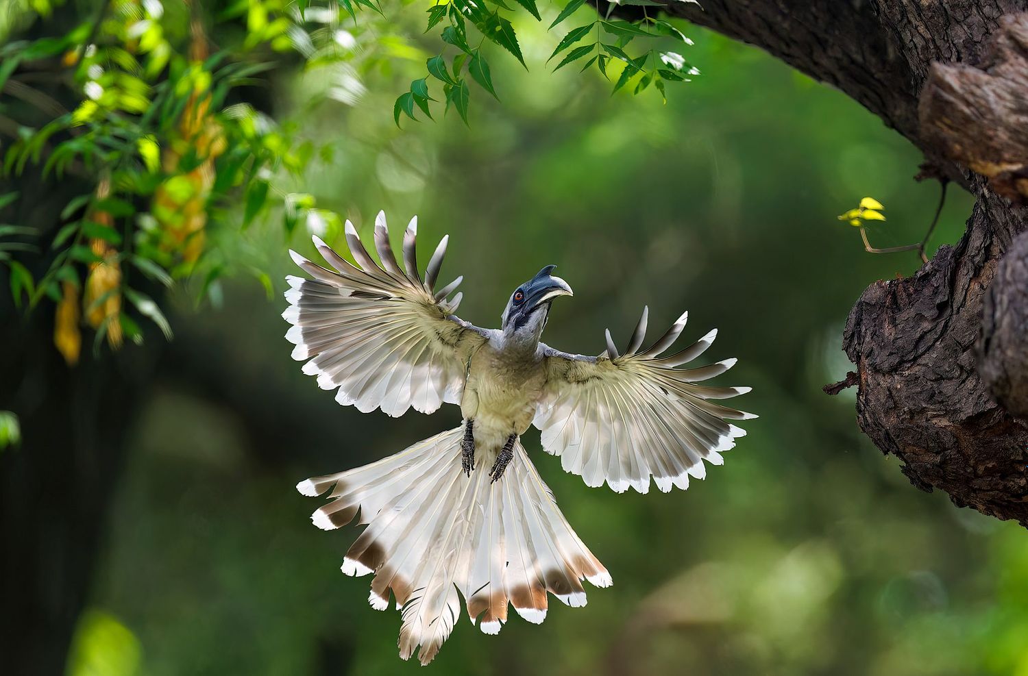 Andr&eacute; J Fanthome