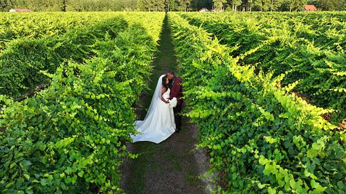 Intimate Wedding Collection