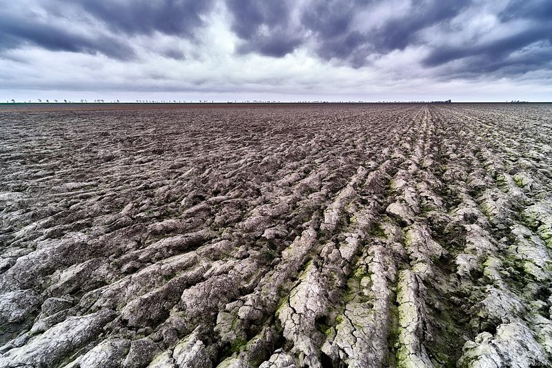 The Next Step (20 - 22 november 2026)