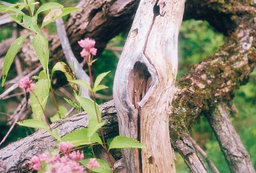 Love an Image? Hang it on your wall