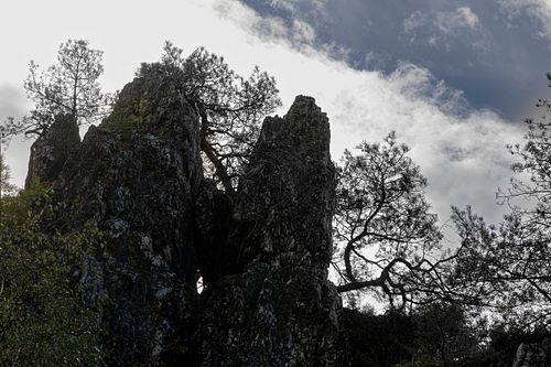 Der grosse Pfahl bei Viechtach