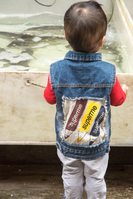 Chinese boy with back to camera watching fish
