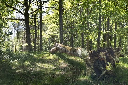 Im Nationalpark Jomfruland