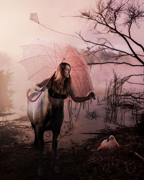 A pink scene of a female centaur holding a parasol offering a cherry to a flamingo with a kite flying above the swamp she's in.