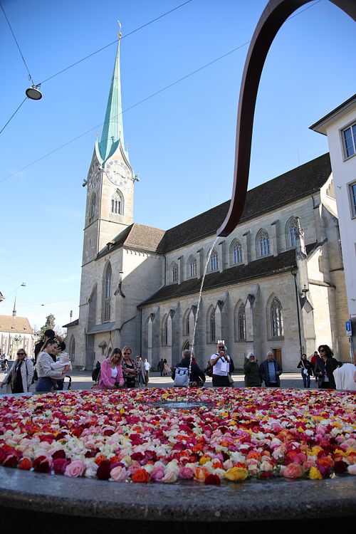 water fountain, roses, flowers, zurich, Switzerland, Europe, oldcity