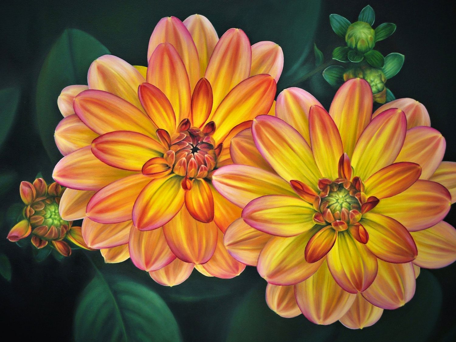 Oil painting of large orange dahlias against a green background.