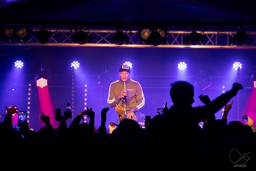 Palmekystfestivalen 2022