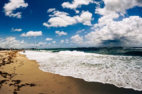 Sea Beaches