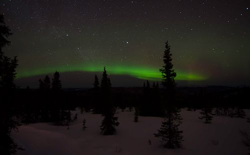 7 foot photographer, workshop tour in US, United States, fairbanks, alaska, northern lights, aurora borealis