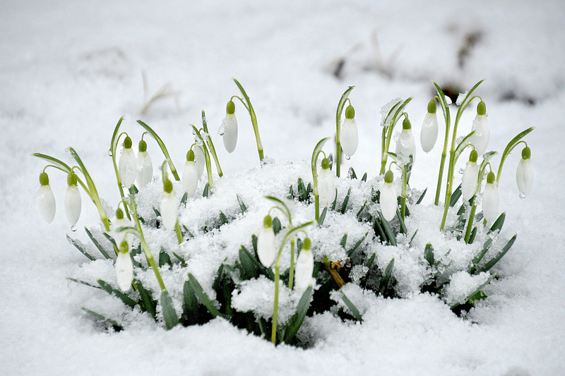 Kevadilmad on muutumas jahedamaks.