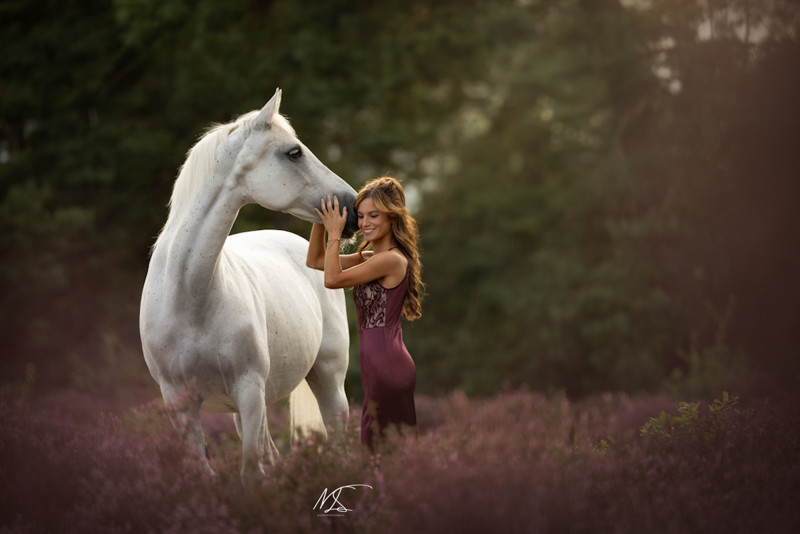 Een dame met haar witte paard op de heide