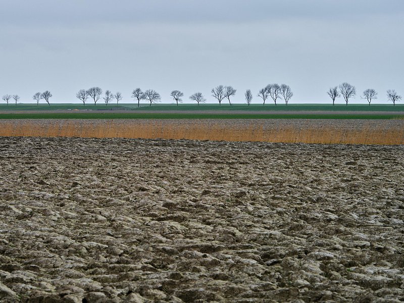 The Next Step (20 - 22 november 2026)