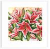 Pink Stargazer Lilies Original Watercolour Painting