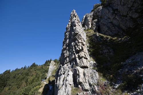Auf der Schynige Platte