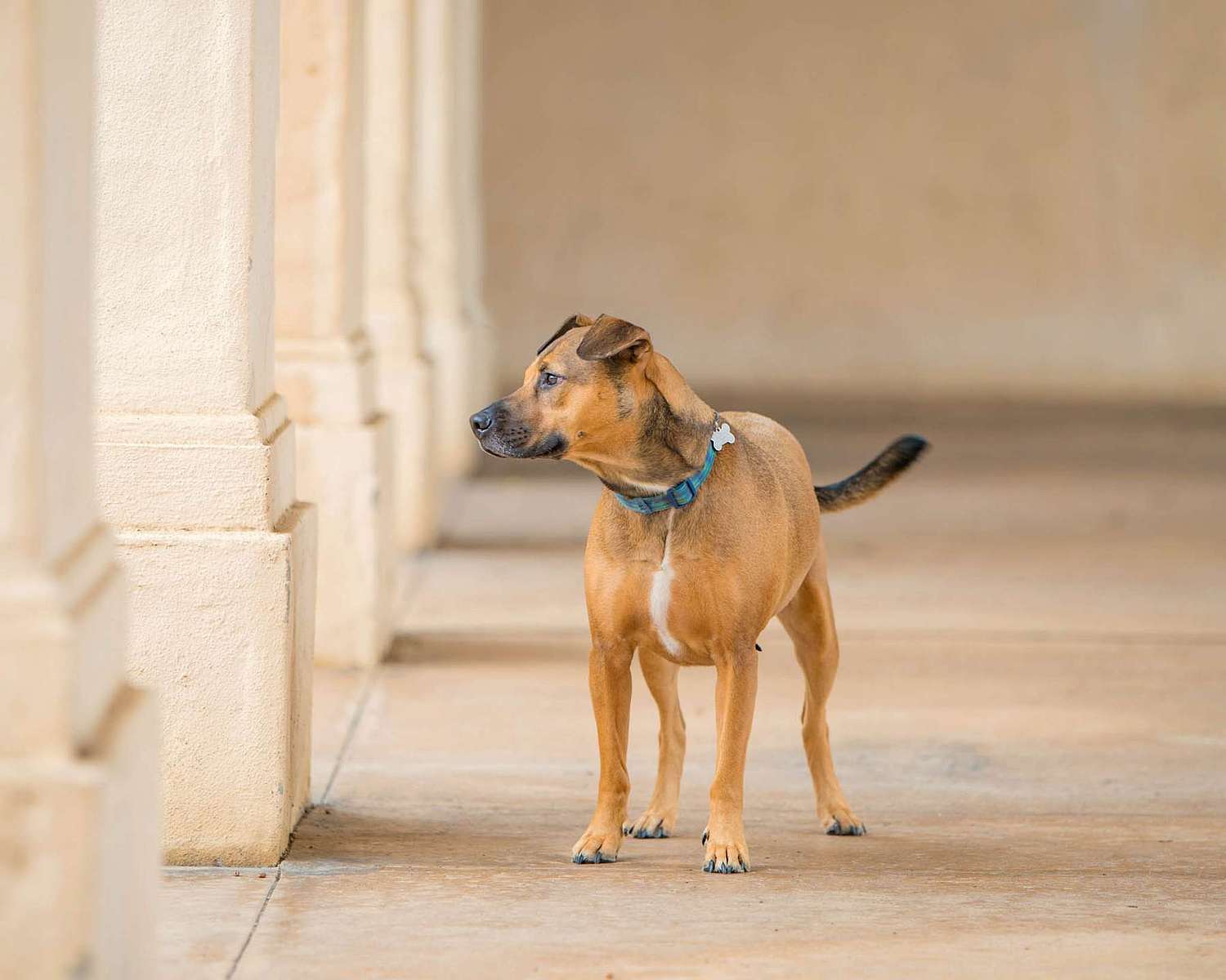 Gretchen Otero Photography