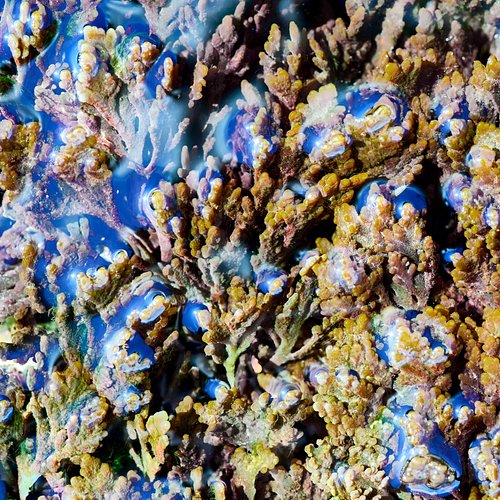 Scouting trip voor Denemarken/Jutland