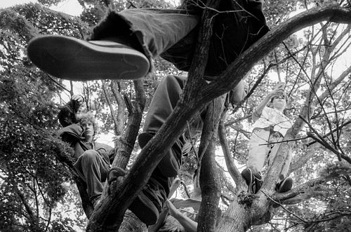 kids hanging out in a tree shot on 35mm film
