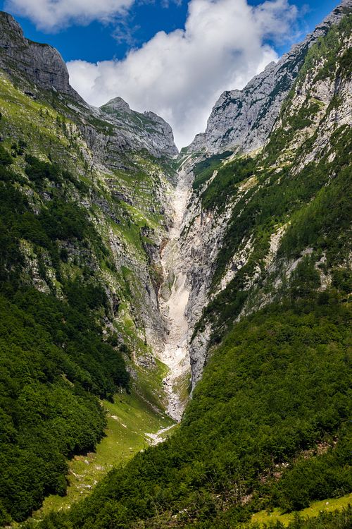 Vallée alpine verdoyante sous ciel clair.