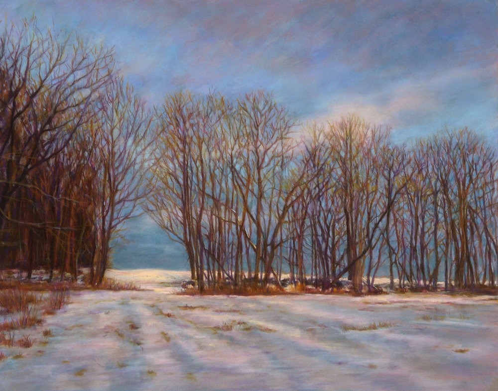 Pastel of winter fields by Lesley Heathcote