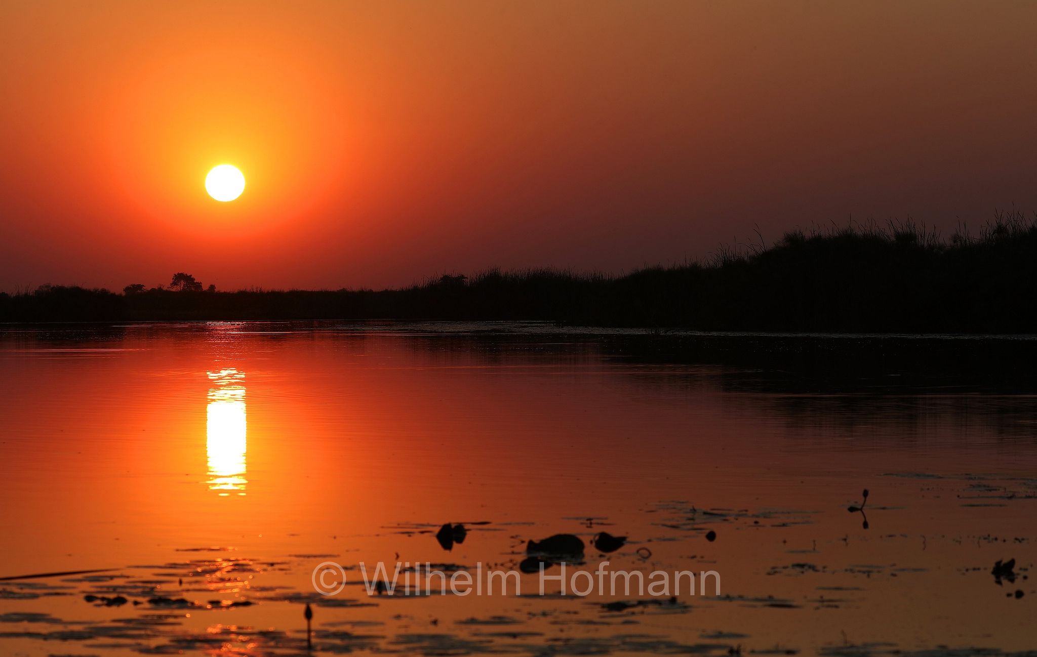 Okavango Delta, Okavango Grassland, Botswana, Republik Botsuana