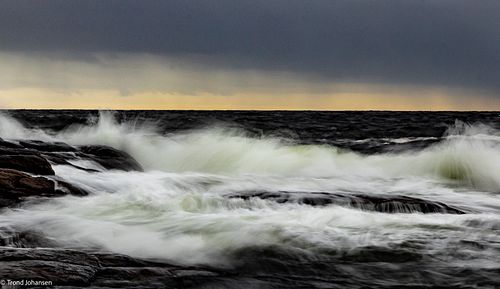 Trond Johansen Foto Natur Sarpsborg - Fotograf / Film