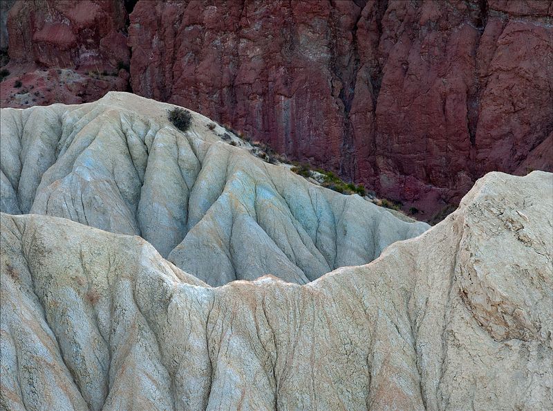 The wild is calling and you need to go!