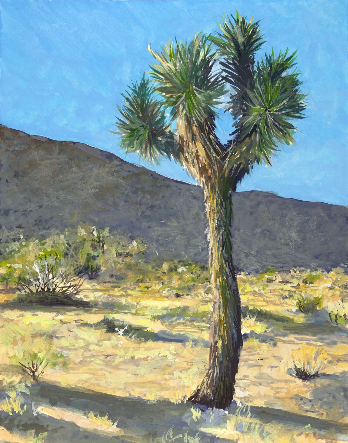 Joshua Tree Nancy Karl