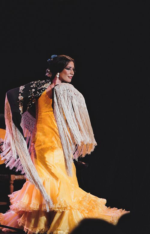 Flamenco dancer performing on stage in Jerez, expressive movement and dramatic lighting