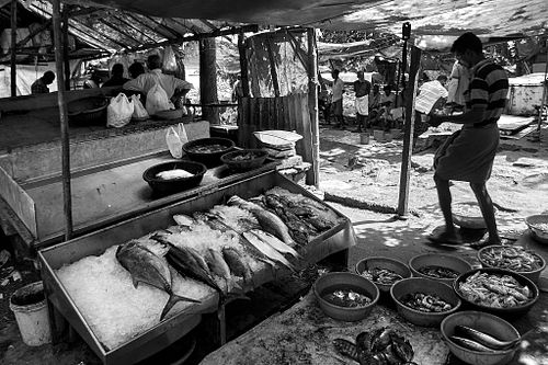 Cochin | India | 2019