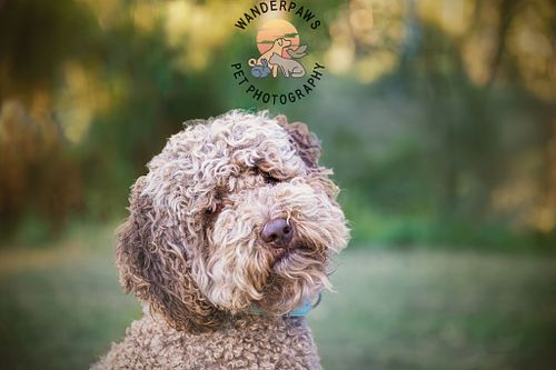 Melinda (Stevie's Owner)