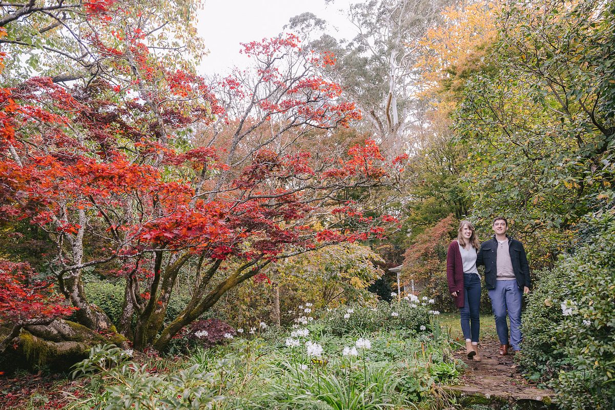 Pre-Wedding Portraits at Nooroo Garden