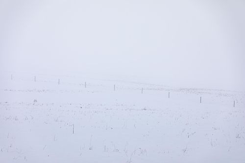 Clôture enneigée disparaissant dans le brouillard en Šumava