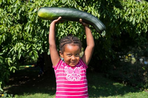 Familiengarten f&uuml;r Migranten