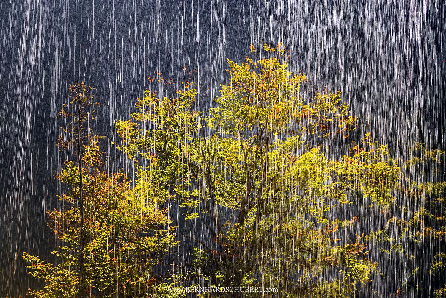 Water and Light